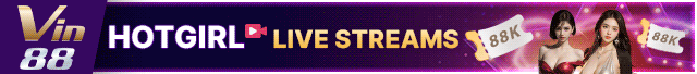 vin88 banner